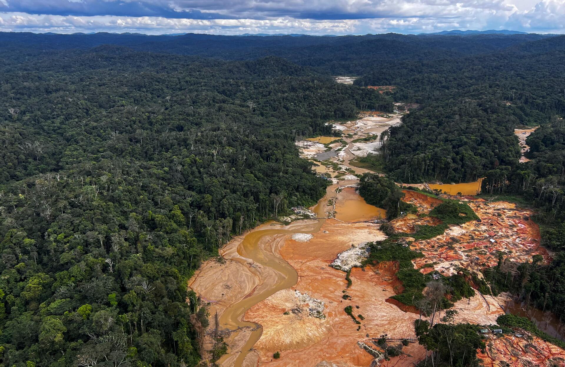 Os Danos Ambientais Diretos: Contaminação e Destruição - inspiração 2