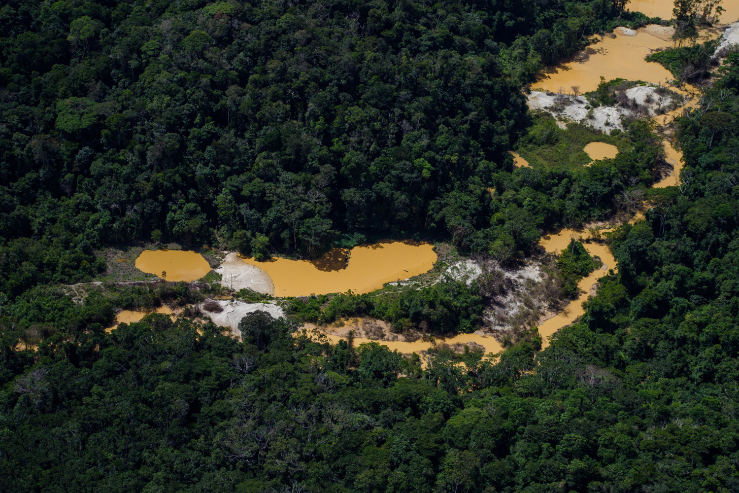 A Exploração Trabalhista Associada ao Garimpo - inspiração 1