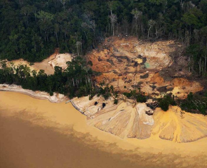 Como o Garimpo Ilegal Afeta a Biodiversidade Local - inspiração 1