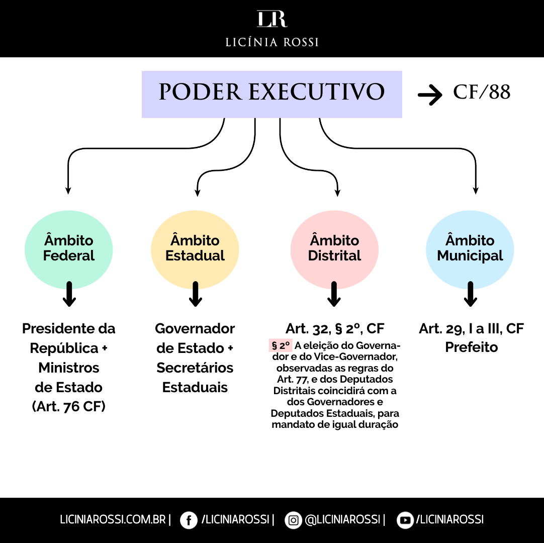 A Relação do Executivo com o Legislativo: Uma Dança Necessária - inspiração 1