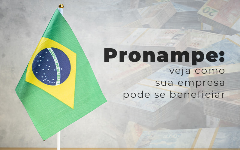 O Que Exatamente é o Pronampe? - inspiração 2