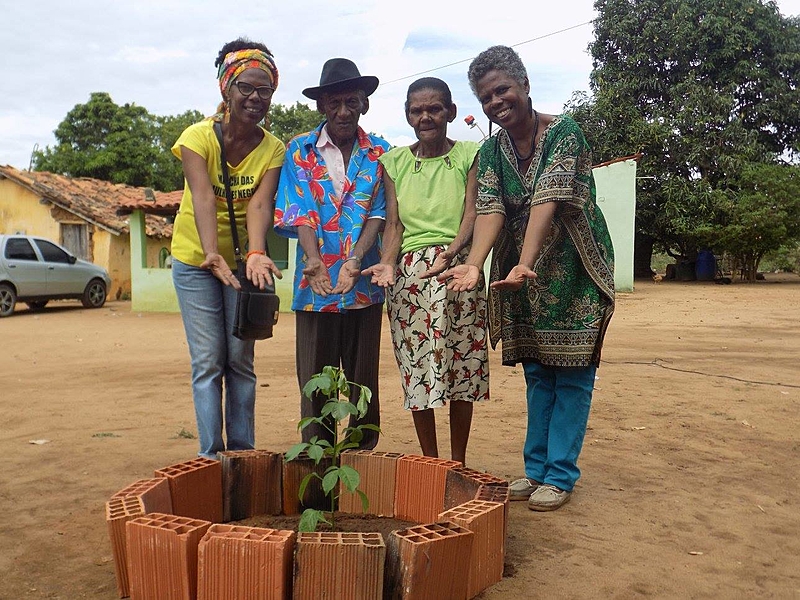 Como Apoiar a Luta por Regularização - inspiração 1