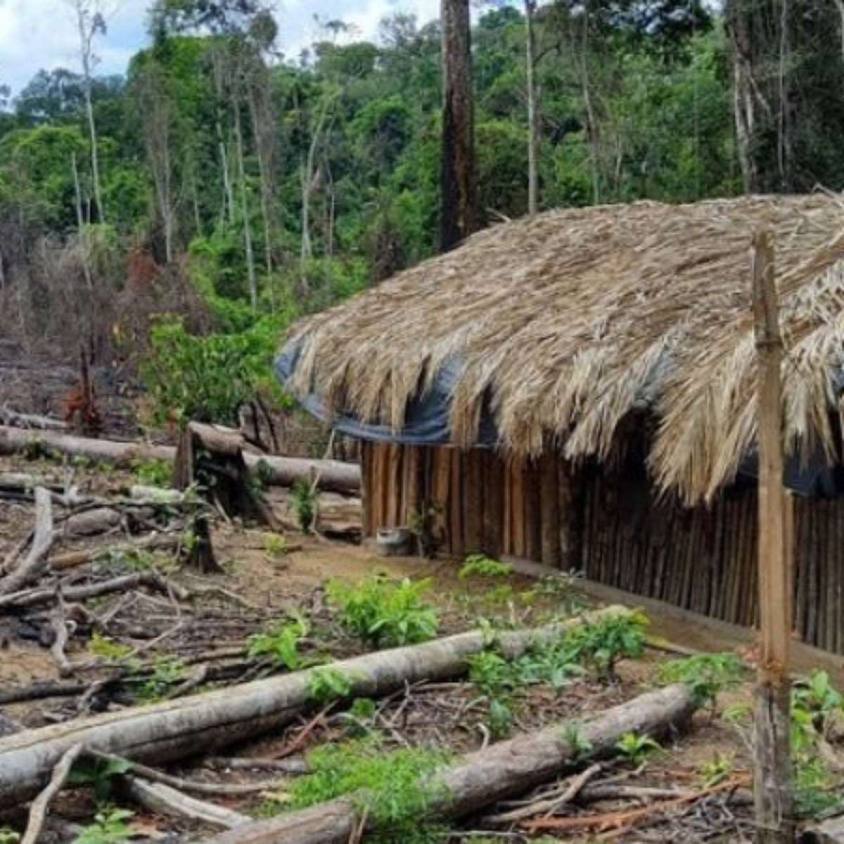 A Luta Histórica pela Terra: Raízes e Motivações - inspiração 1