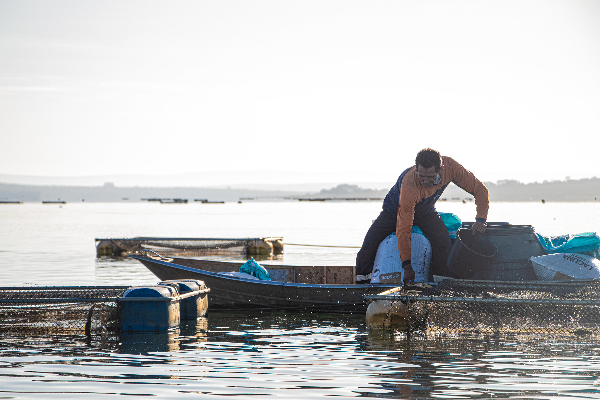 Dicas Práticas Para Solicitar e Manter o Seguro Defeso - inspiração 1