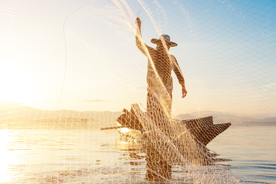 Atividade Rural e Pesca: A Conexão Para o Benefício - inspiração 1