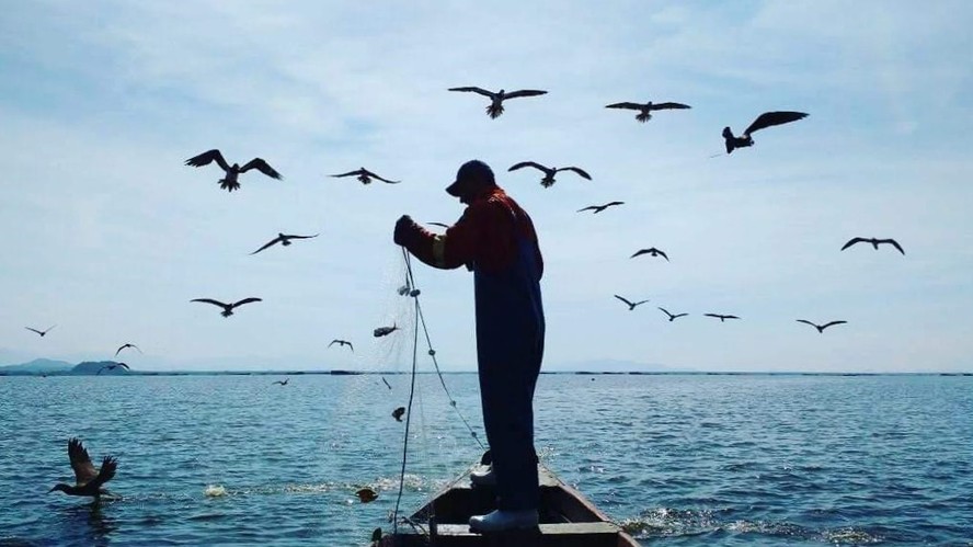 Causas de Cancelamento ou Suspensão do Benefício - inspiração 1