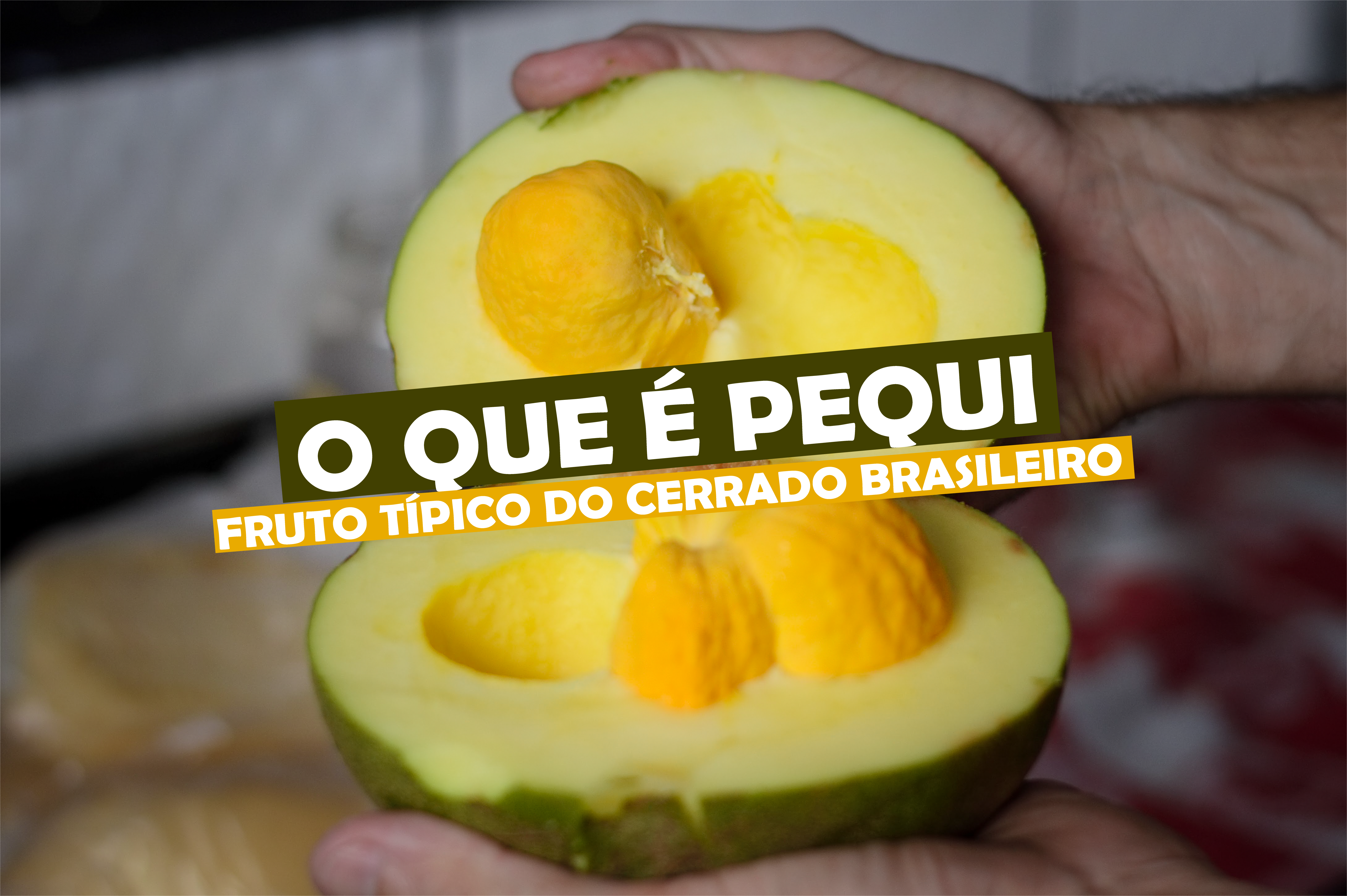 Hortifrutis Especializados: Qualidade e Variedade Garantidas - inspiração 1