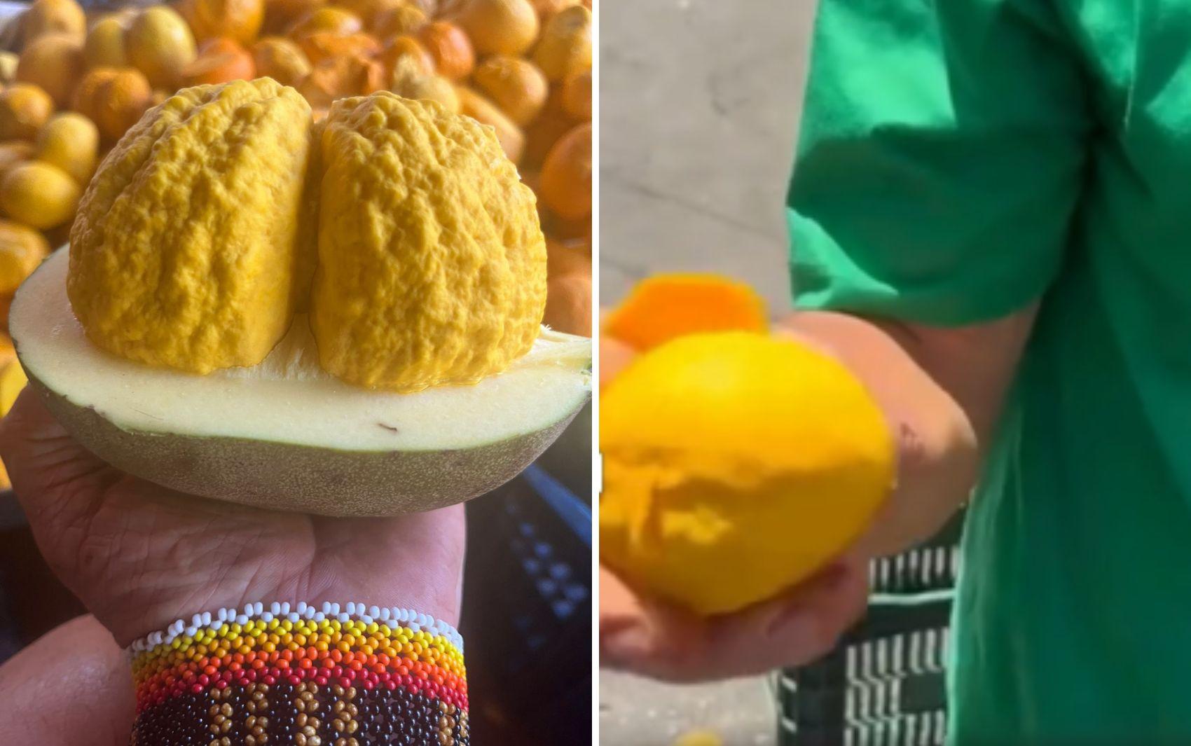 Hortifrutis Especializados: Qualidade e Variedade Garantidas - inspiração 2