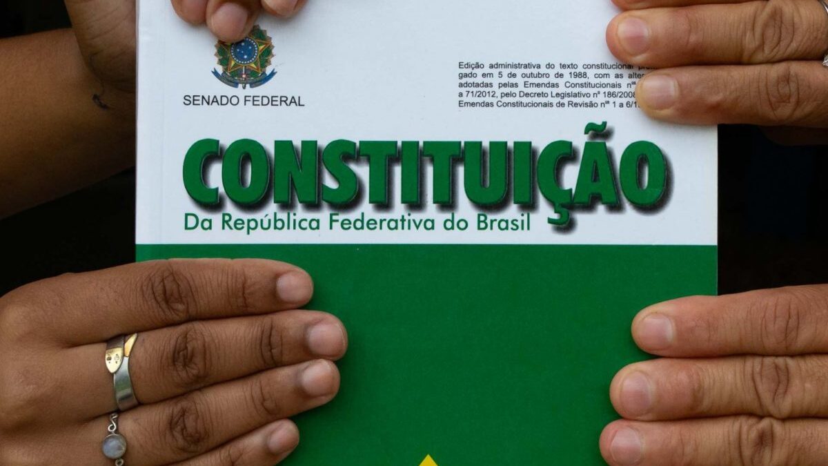 Assegurando a Justiça e a Cidadania: Acesso à Lei - inspiração 1