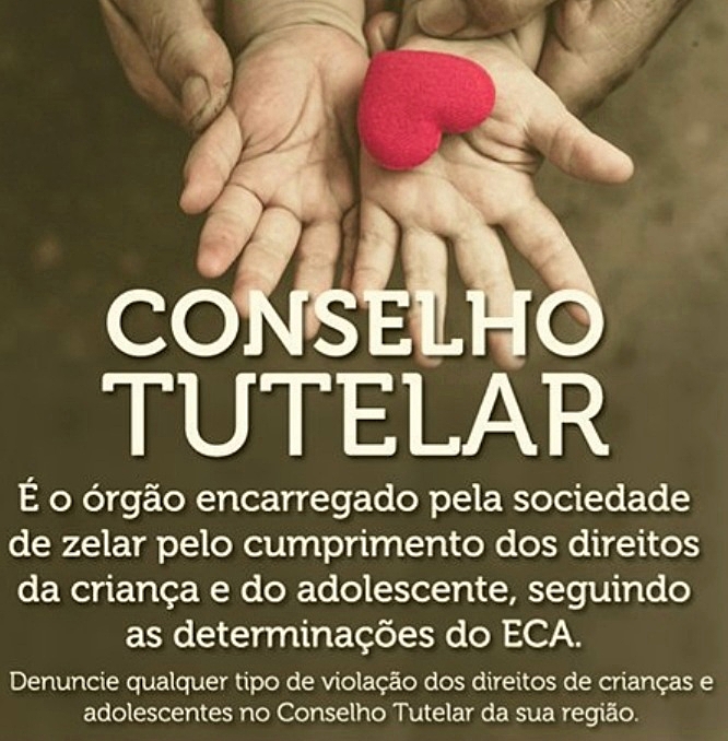 O Papel do Conselho Tutelar em Casos de Abandono e Maus-Tratos - inspiração 1