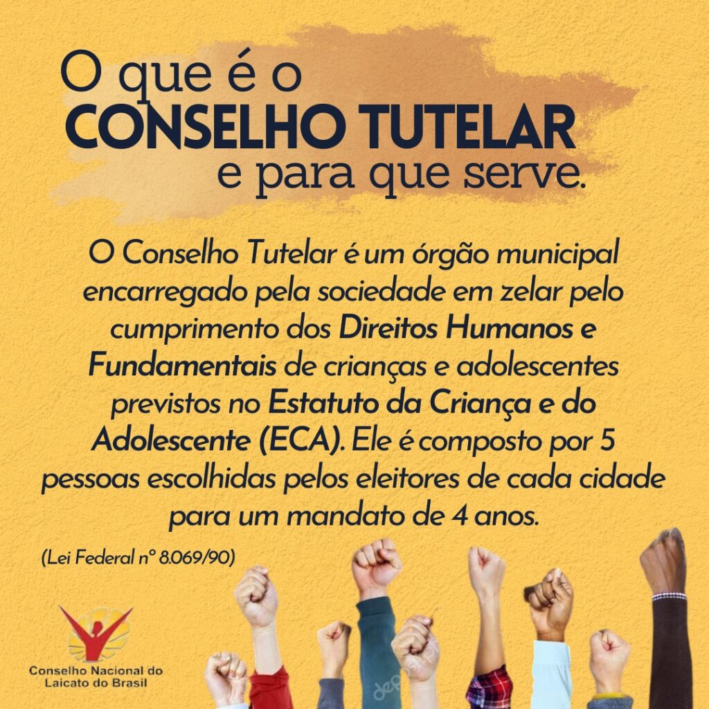 A Importância do Conselho Tutelar na Garantia do Direito à Educação - inspiração 2