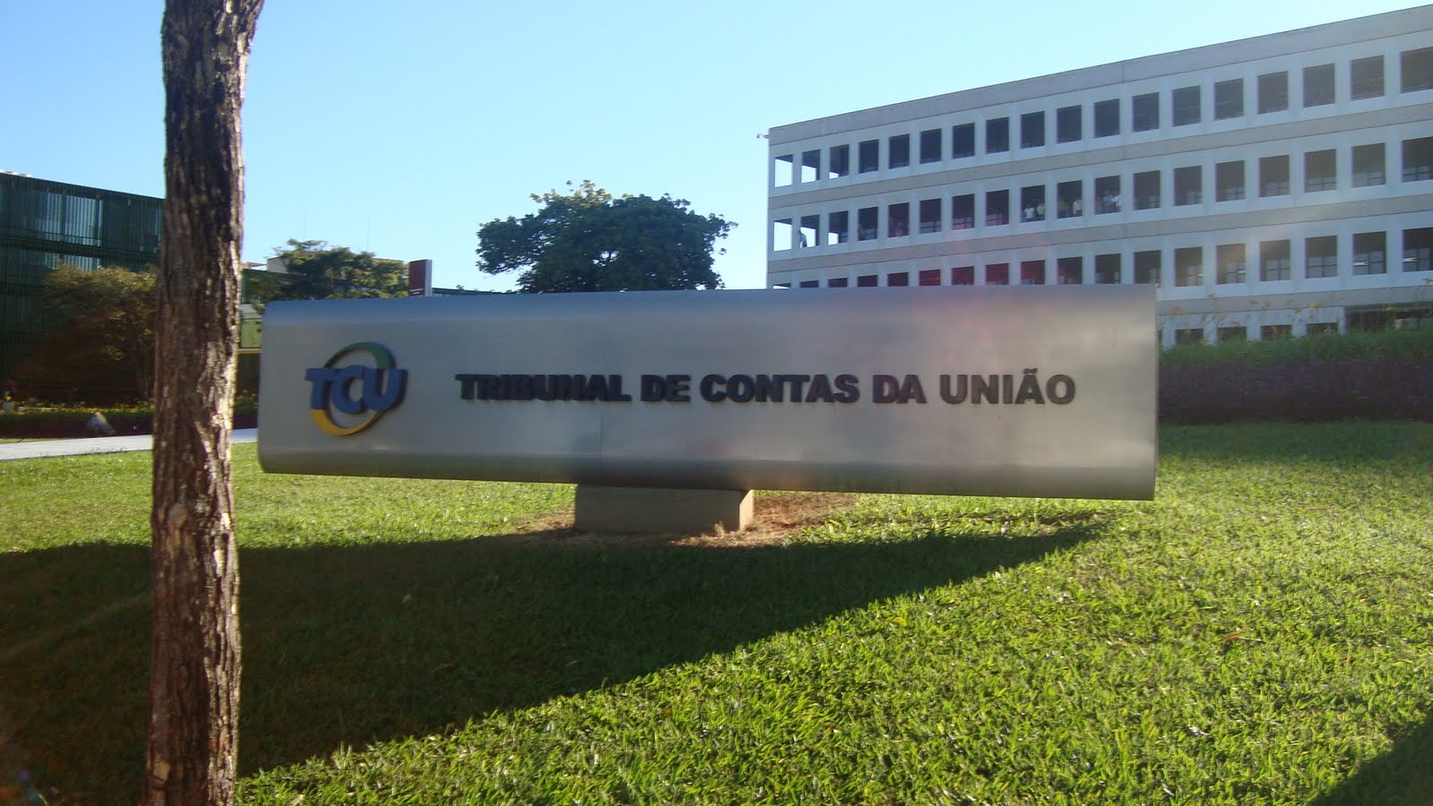 A Importância do Controle Social: Como Você Pode Acompanhar o Trabalho do TCU - inspiração 1