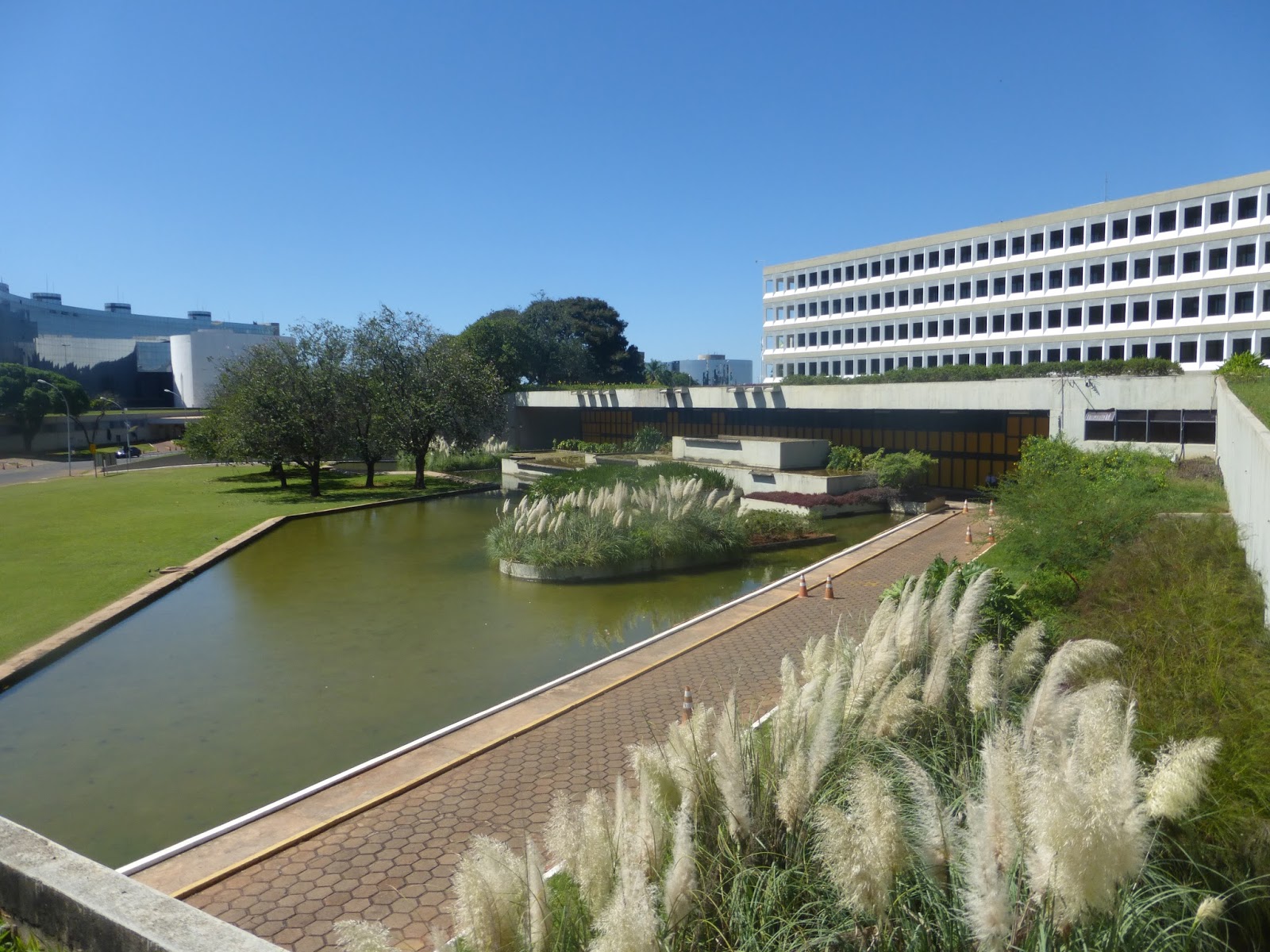 A Importância do Controle Social: Como Você Pode Acompanhar o Trabalho do TCU - inspiração 2