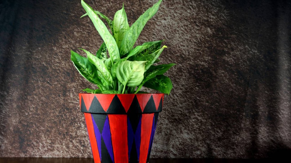 O Plantio das Sementes: Um Ato de Carinho e Paciência - inspiração 2