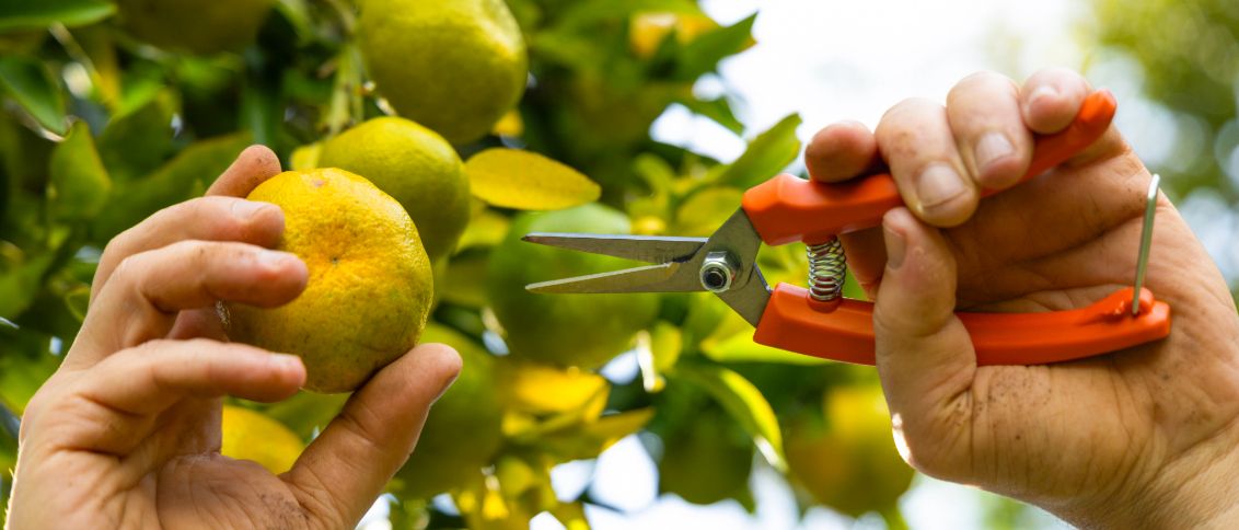A Importância da Ventilação e Luminosidade na Formação - inspiração 1