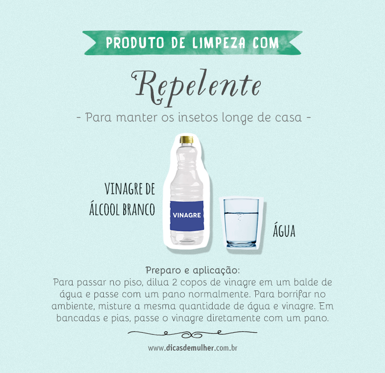 A Ciência por Trás da Mistura: Por Que Vinagre e Cravo Afastam Moscas - inspiração 2