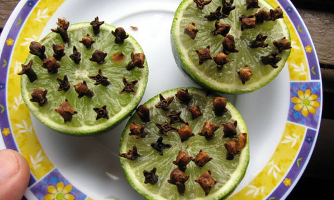 O Poder Antisséptico do Cravo: Um Aliado Surpreendente - inspiração 1