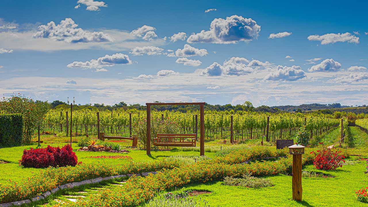 Harmonização Perfeita: Dicas para Combinar Vinho e Comida Local - inspiração 1