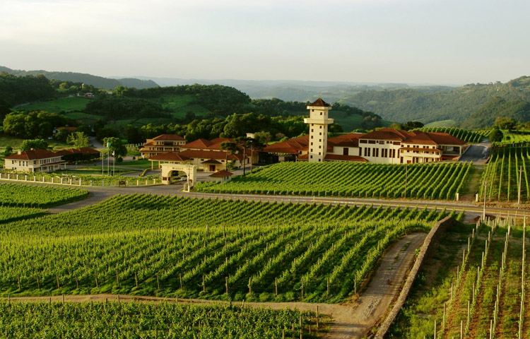 Quando Ir? Explorando as Estações e Eventos da Rota - inspiração 2