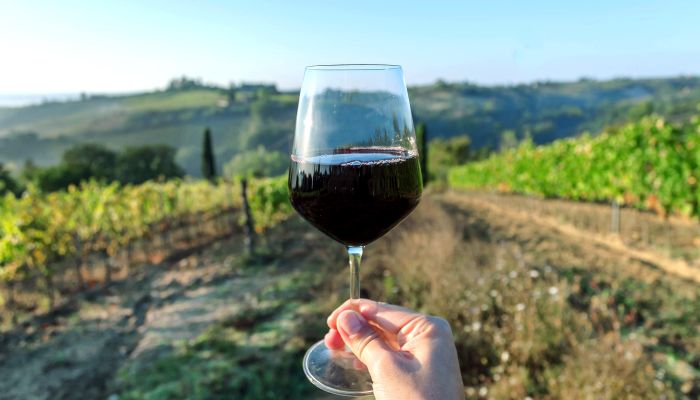 Para os Amantes da Fotografia: Cenários Incríveis para Registrar - inspiração 1