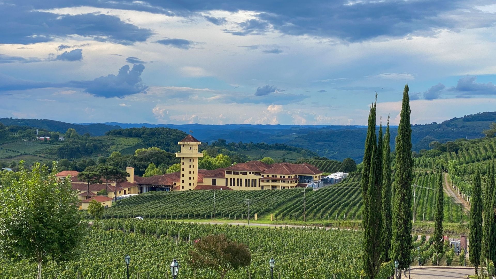 A Experiência do Chef: Sabores Locais em Pratos Elaborados - inspiração 2