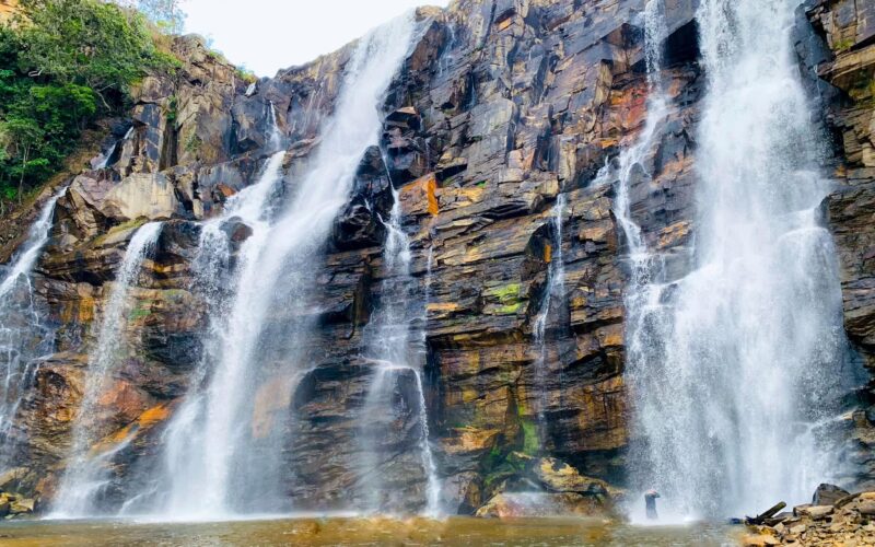Trilhas Imperdíveis pela Mata Atlântica - inspiração 1