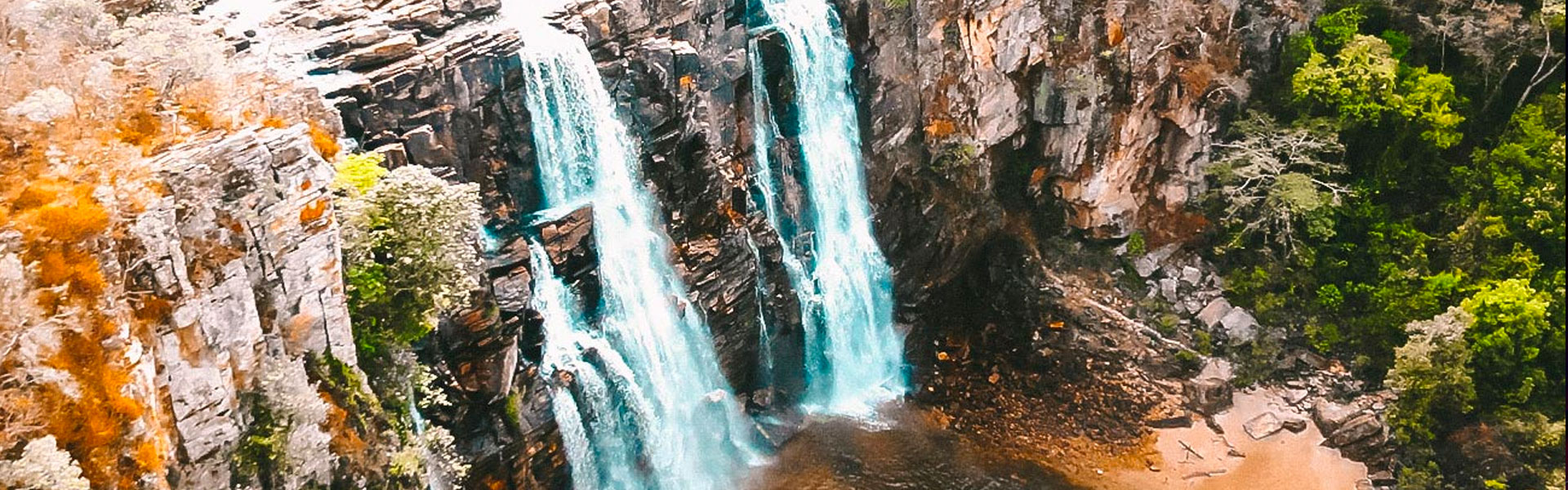 Observação de Pássaros e Fauna Local - inspiração 1