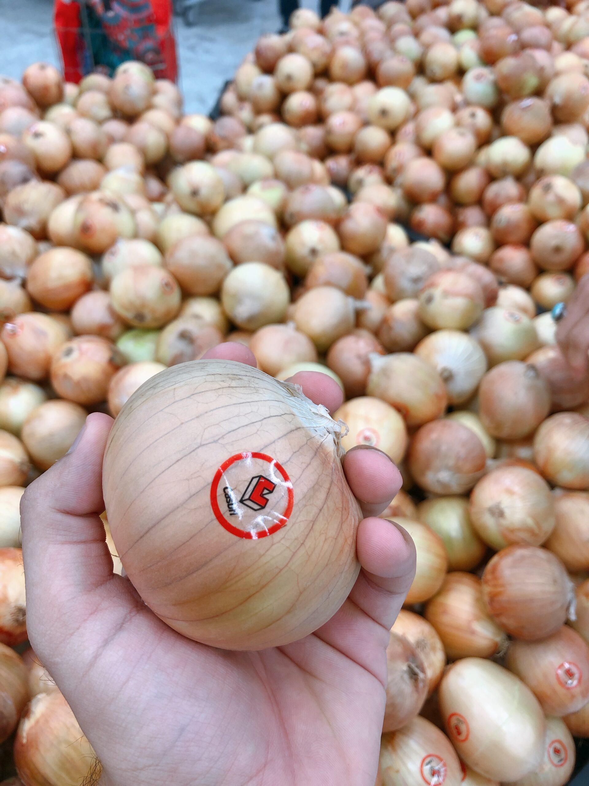 Atenção à Exposição Solar - inspiração 1