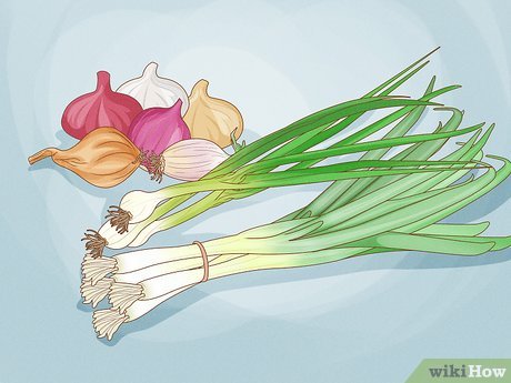 O Momento Certo da Colheita - inspiração 2