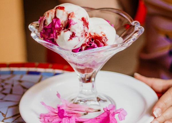 Pequi: O Sabor Intenso e Inconfundível para os Aventureiros - inspiração 1