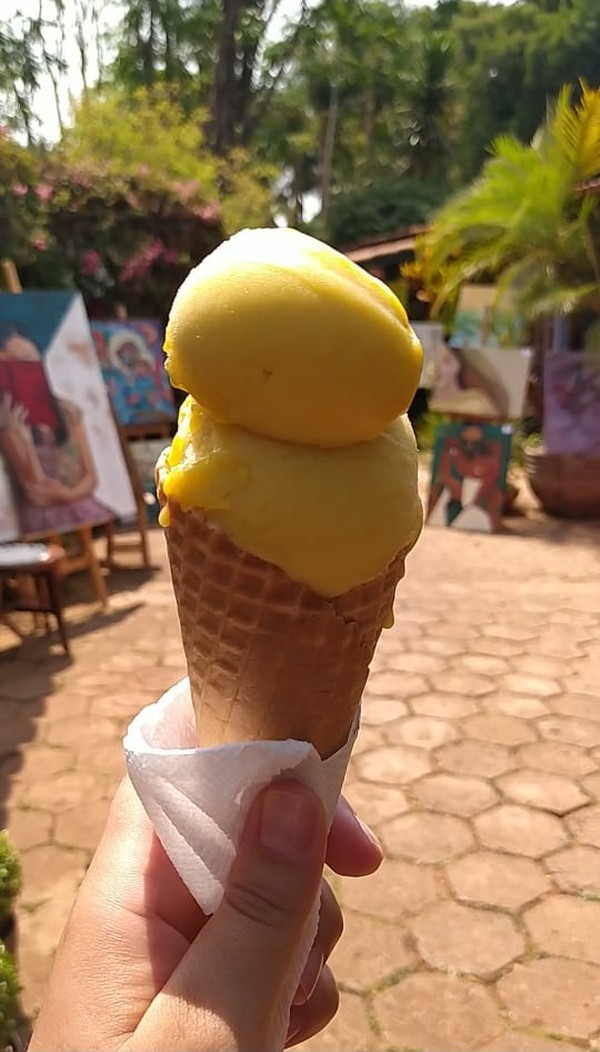 Pequi: O Sabor Intenso e Inconfundível para os Aventureiros - inspiração 2