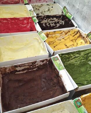 Acerola: A Vitamina C Pura em um Sorvete Vibrante - inspiração 1