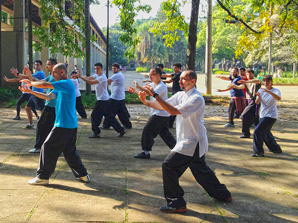 Sua Primeira Aula de Tai Chi nas Praças: O que Esperar - inspiração 1