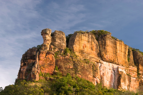 Gastronomia local: sabores autênticos de Goiás - inspiração 1