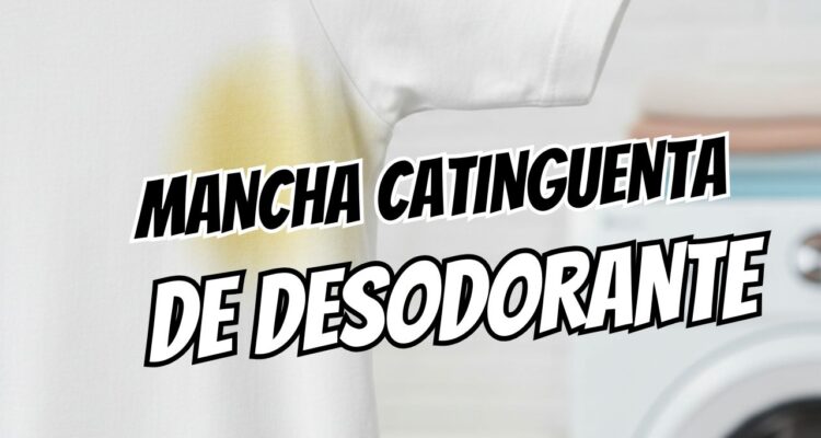 Detergente Líquido: Uma Opção Eficaz Para Emergências - inspiração 2