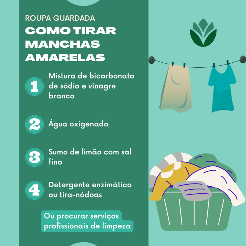 Sabão Neutro ou de Coco: A Base Para A Limpeza Diária e Preventiva - inspiração 2