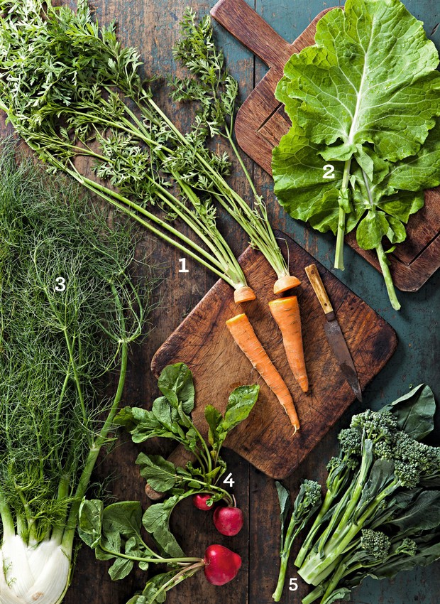 Escolhendo o Solo Ideal: A Base do Sucesso - inspiração 2