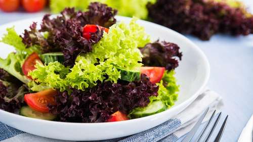 Controle de Pragas e Doenças: Prevenção é a Chave - inspiração 2