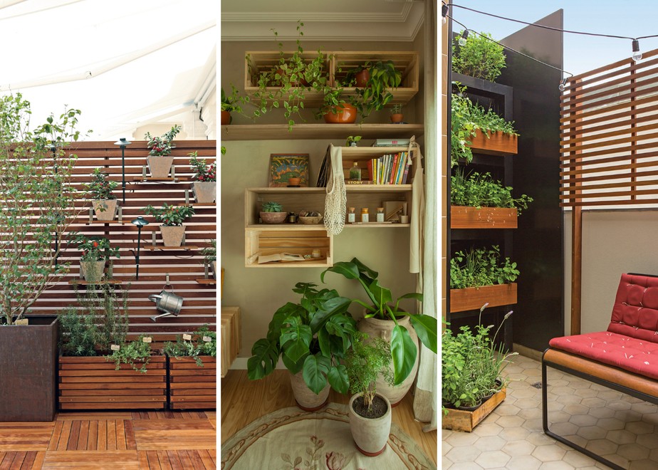 Cenoura Baby: Raízes Deliciosas em Pequenos Vasos - inspiração 2