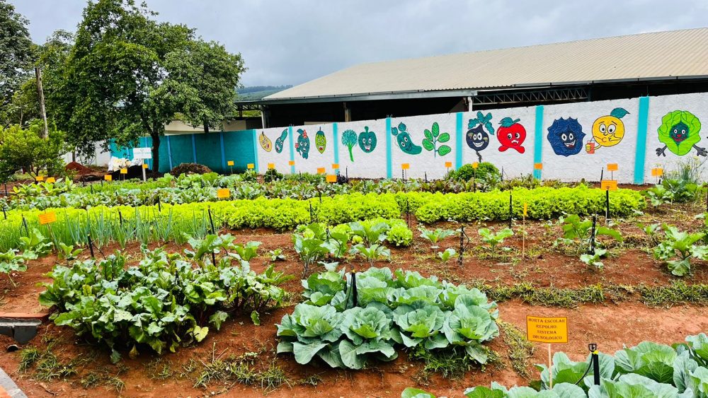 Cenoura: Raízes Doces que Desafiam a Paciência - inspiração 1
