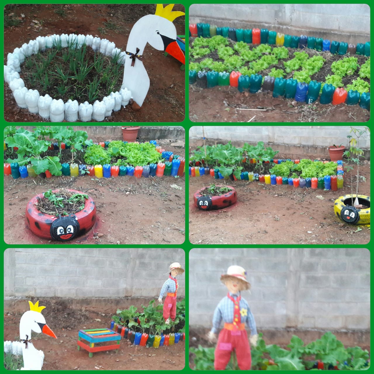 Cenoura: Raízes Doces que Desafiam a Paciência - inspiração 2