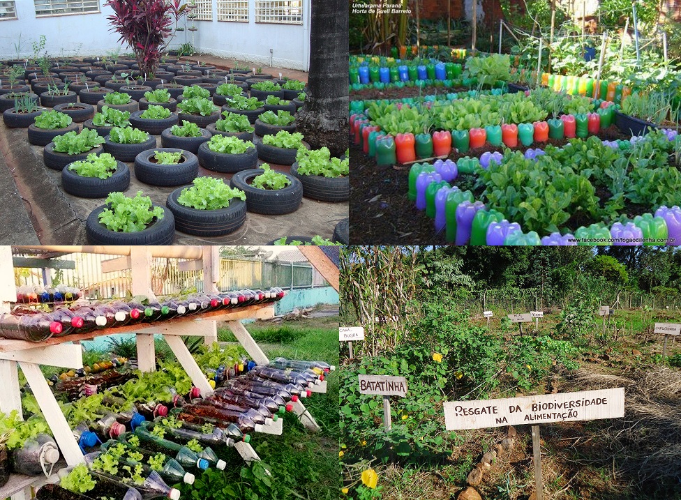 Manjericão: Aroma que Encanta e Facilita o Cultivo - inspiração 1