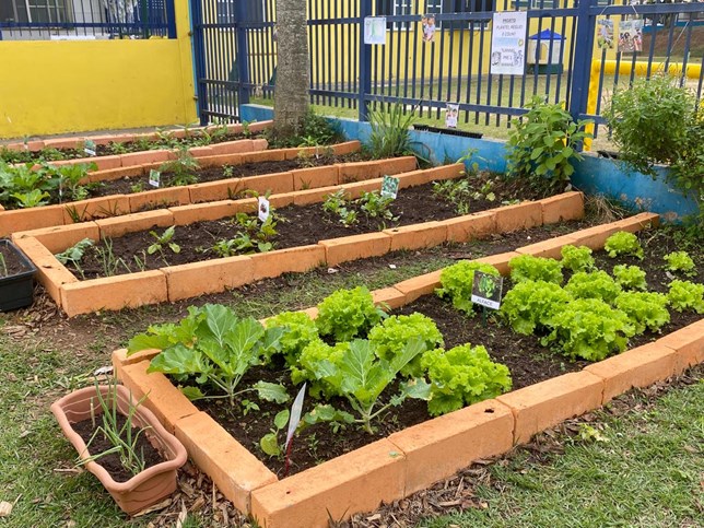 Manjericão: Aroma que Encanta e Facilita o Cultivo - inspiração 2