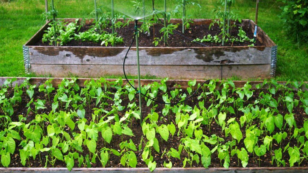 Diagnóstico da Sua Necessidade Hídrica: Entenda Quanto e Quando Irrigar - inspiração 2