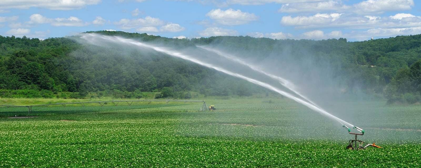 Benefícios Financeiros e Ambientais: Economia e Sustentabilidade na Prática - inspiração 2