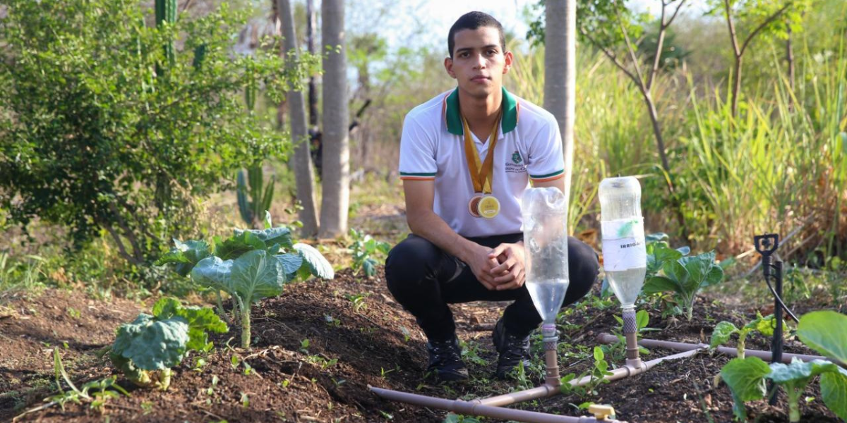 Captação Eficiente: Coletando Cada Gota que o Céu Te Dá - inspiração 1