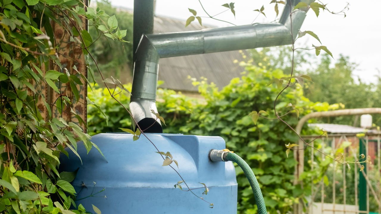 Filtragem e Tratamento Básico: Garantindo a Qualidade da Água para Suas Plantas - inspiração 2