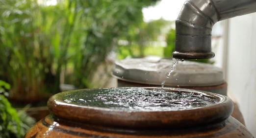 Sistemas de Irrigação Acessíveis: Do Gotejamento à Microaspersão Caseira - inspiração 2