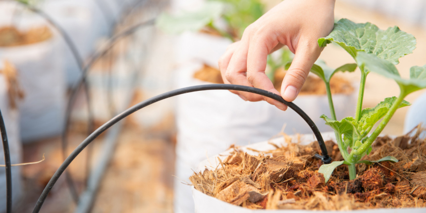 Integração com o Solo: Melhorando a Absorção e Reduzindo o Desperdício - inspiração 1