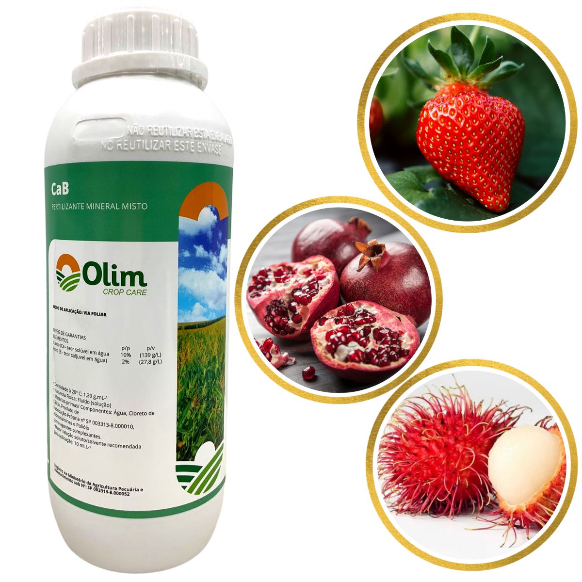 Guia completo de fertirrigação para morangos